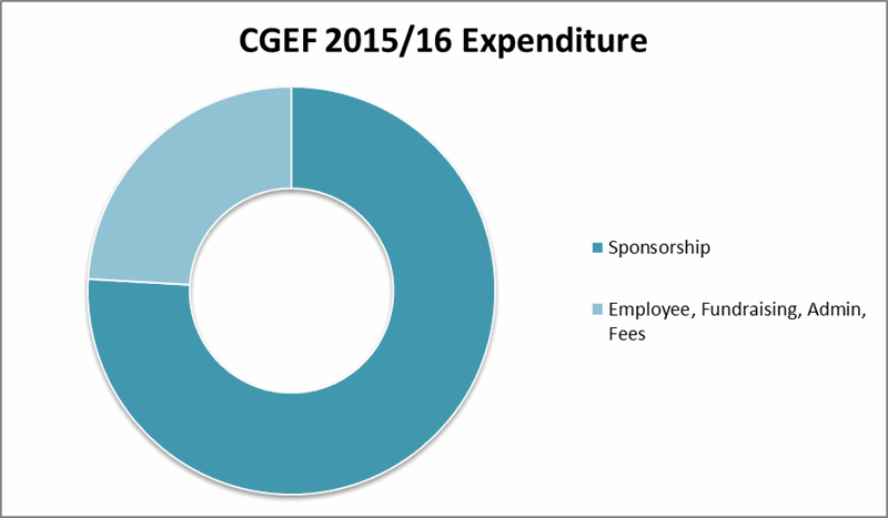 CGEF pie chart 16